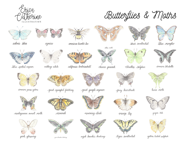 Butterfly Art Print by Erica Catherine