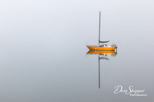 Yellow Boat in Fog by Dave Shipper Gallery 209
