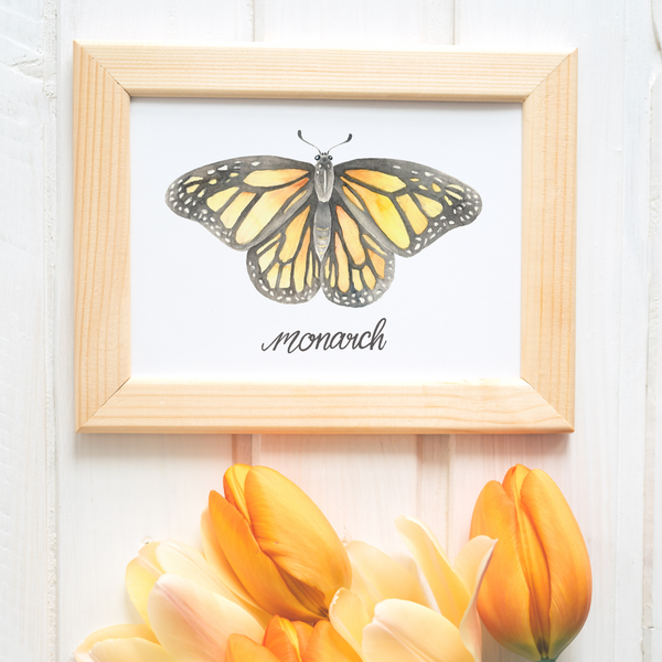 Butterfly Art Print by Erica Catherine