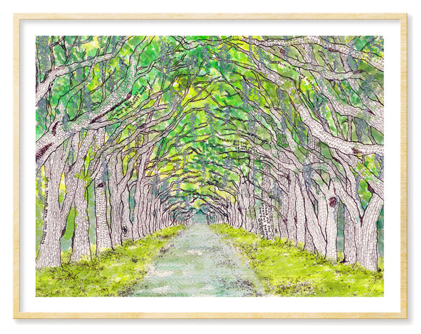 Wormsloe, Live Oaks Avenue print by Tamara Garvey Gallery 209