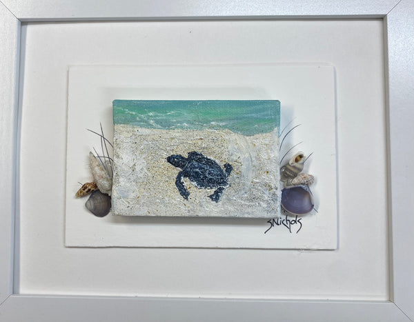 One Turtle by Sue Nichols