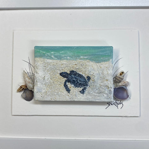 One Turtle by Sue Nichols