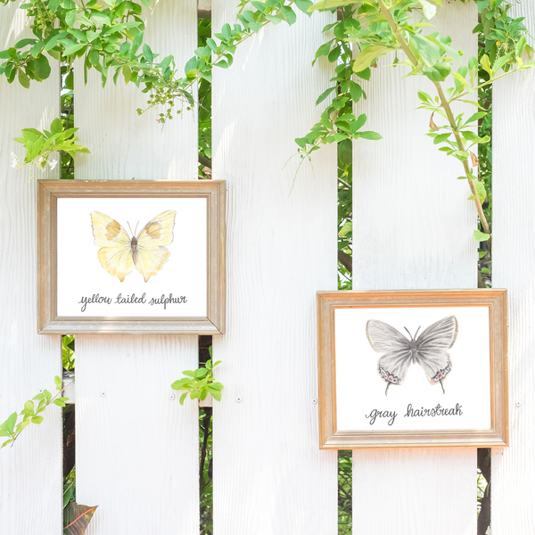 Butterfly Art Print by Erica Catherine