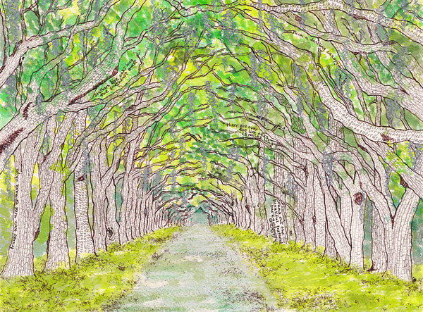 Wormsloe, Live Oaks AvenueGiclee print by Tamara Garvey Gallery 209